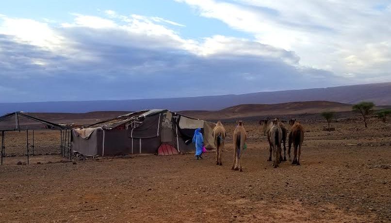 Sahara Desert Trek