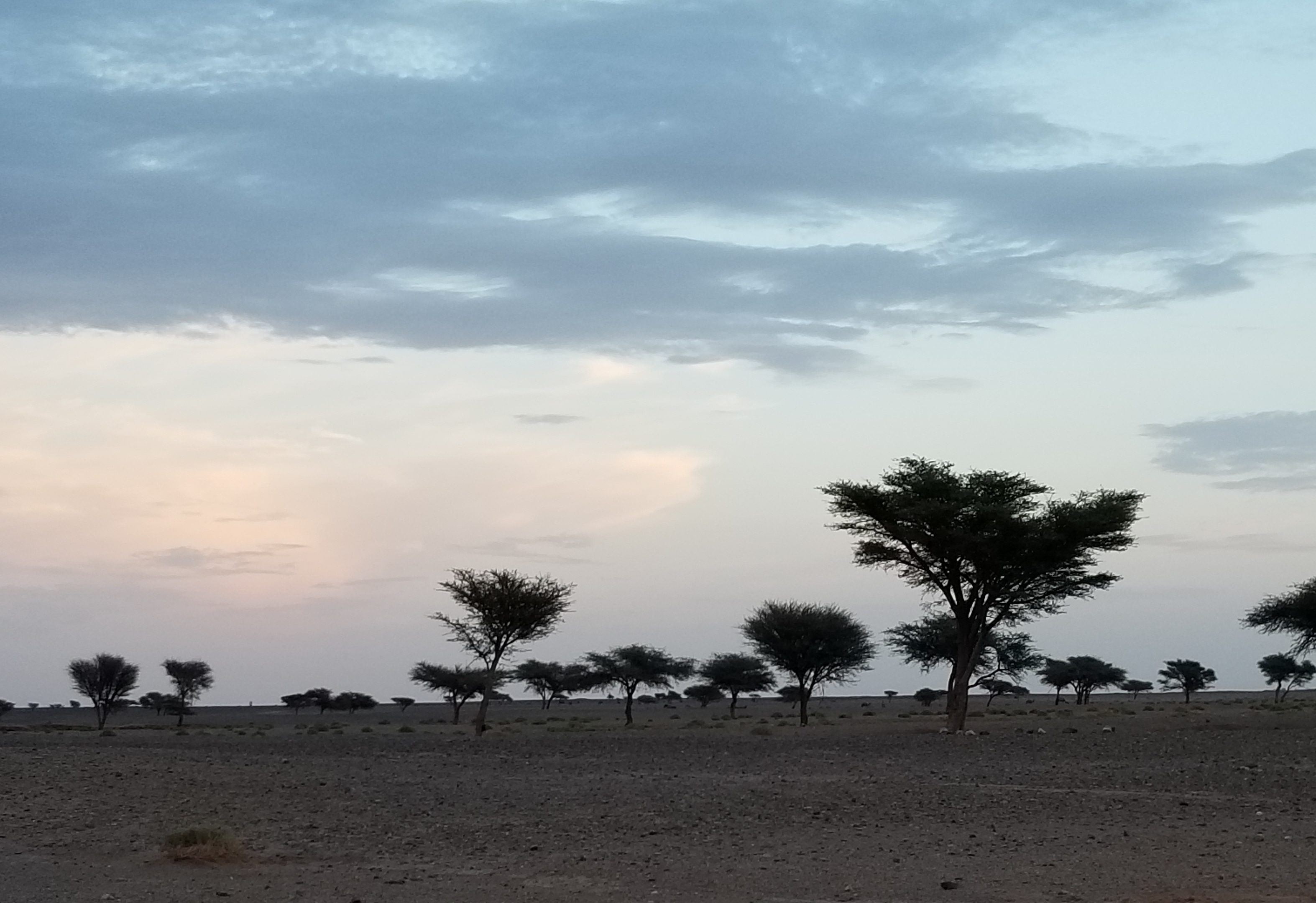 Sahara Desert Trek