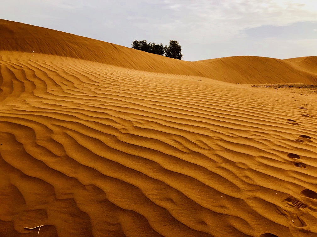 Sahara Desert Trek
