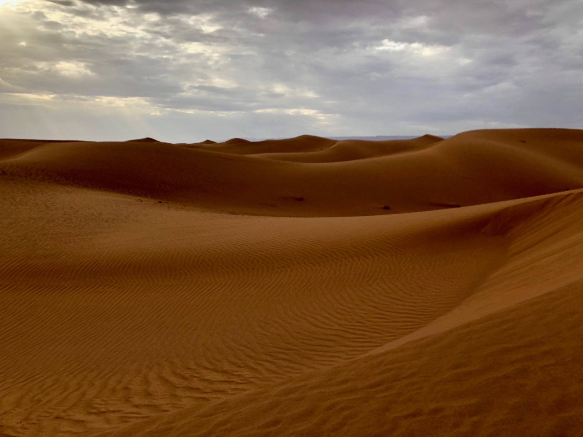 Sahara Desert Trek