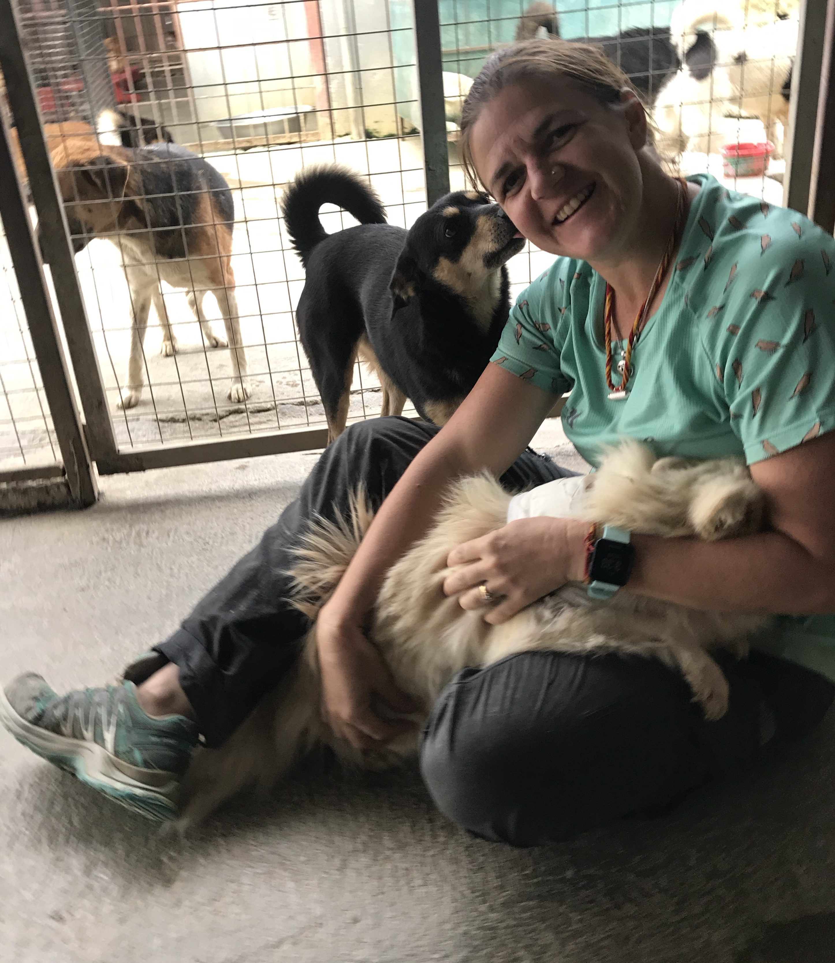 Sneha's Care Animal Shelter