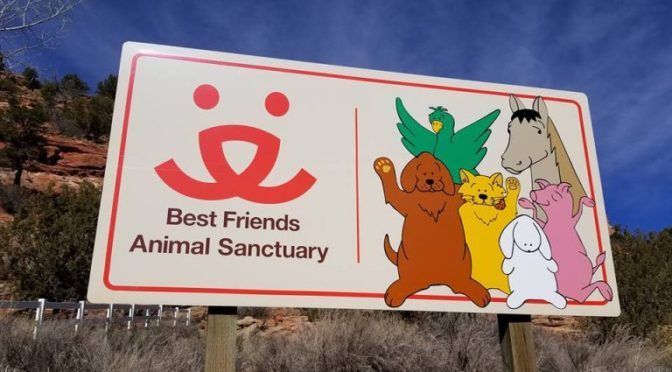 Best Friends Animal Sanctuary is the Perfect Family Volunteering Vacation