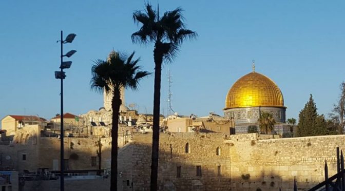 Volunteering in Jerusalem at Yad Ezra V’Shulamit