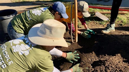 How TreePeople Keeps LA Green and How You Can Help