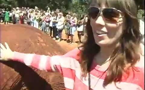 Elephant Orphanage and Giraffe Center-Kenya