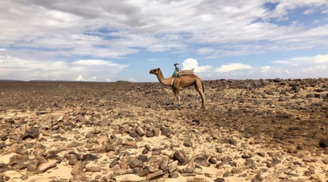 Sahara Desert Trek-The Good, Bad and the Ugly